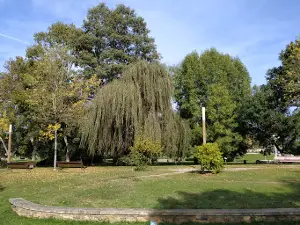 Parque Profesor Rio Barxa