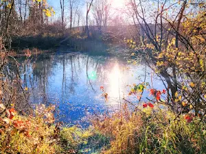 Herricks Cove