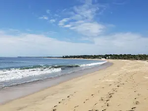 Campamento Tortuguero "Guadalupe Bettina"