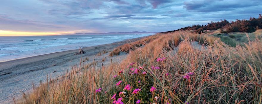 Pegasus Beach