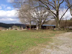 Carlton Farms