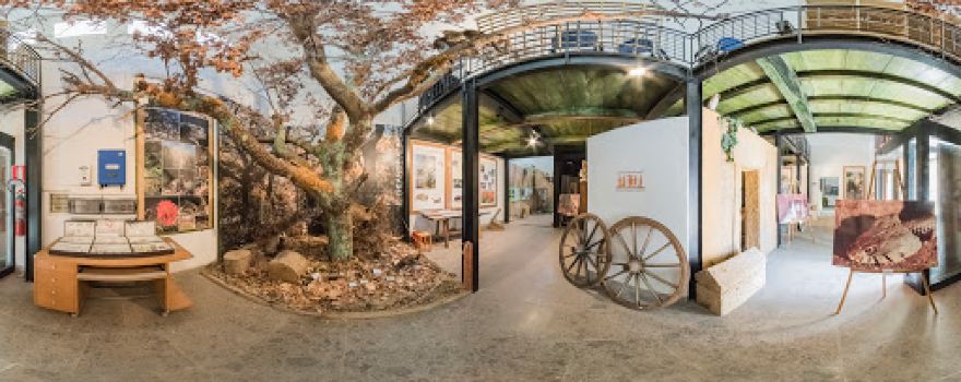 Museo Naturalistico del Parco Marturanum "Francesco Spallone"