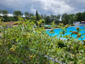 Camping Walsheim - Eric Meerdink und Marianne Timmerman GbR