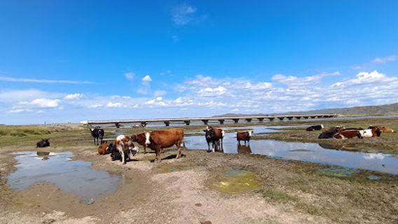 Old Wooden Bridge