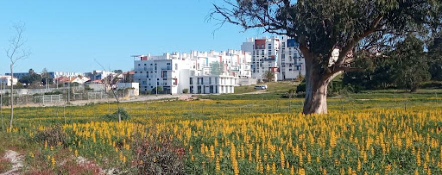 Parque Urbano Abraco Verde