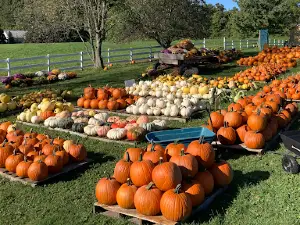 Fair Haven Farms