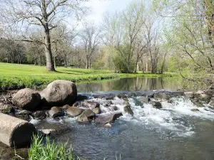 Anna R Page Forest Preserve