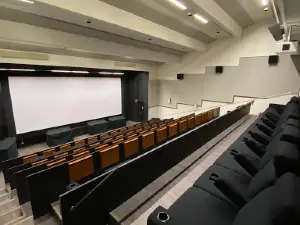 Y-Kino