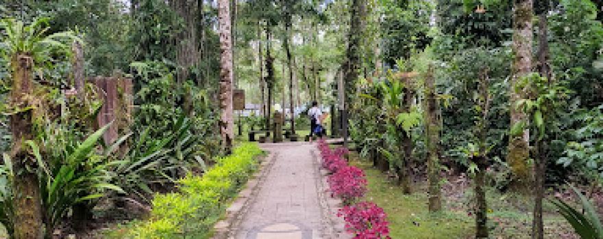 Obyek Wisata Telaga Tambing