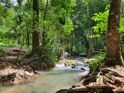 สวนรุกขชาติน้ำผุดทัพลาว