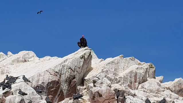 Children's Residence Saint Charles Park