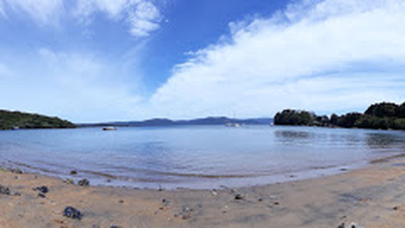 Stewart Island