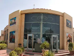 The Arena Cinema