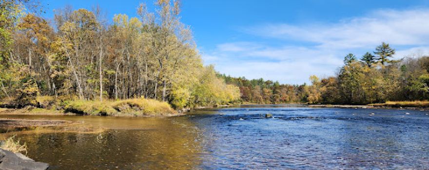 Black River State Forest