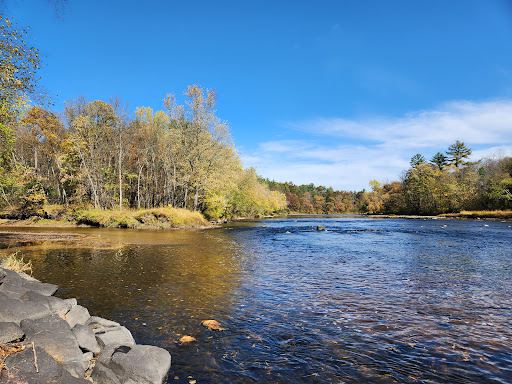 Black River State Forest
