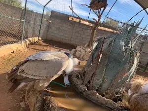 Parc zoologique KEFFOUS HOCINE