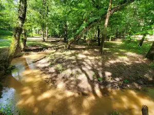 McIntosh Reserve Park