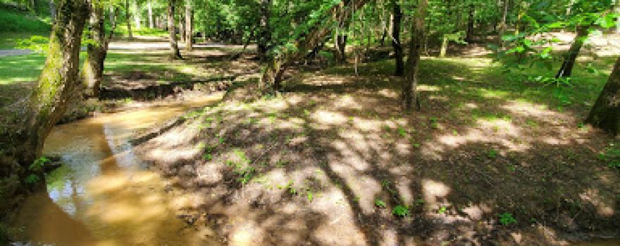 McIntosh Reserve Park