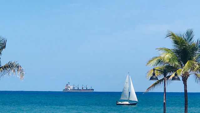 Dolphin Cruise Aboard Dolphin Tales