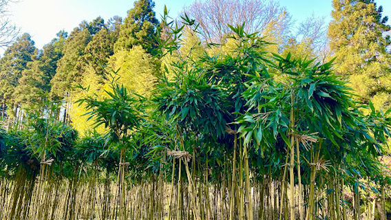 Manyou Park Ajimano-en