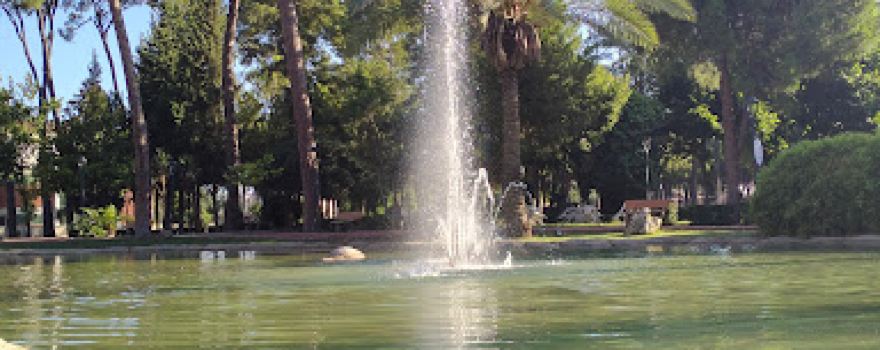 Gazi Çamlığı