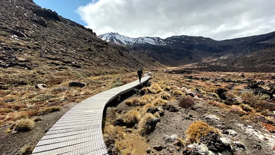 Turangi Holiday Park