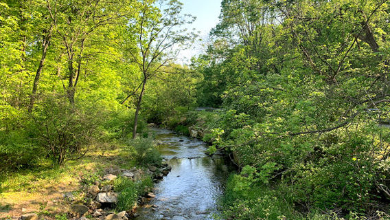 Uwchlan Trail