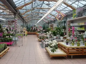 Dehner Garten-Center