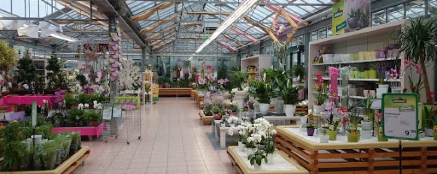 Dehner Garten-Center