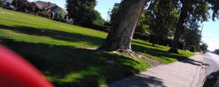 Allen Park