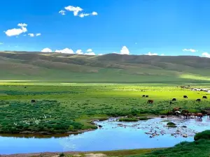 Khangai Mountains