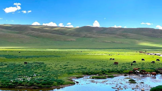 Khangai Mountains