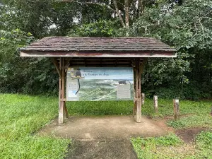 Monkey Mountain trail