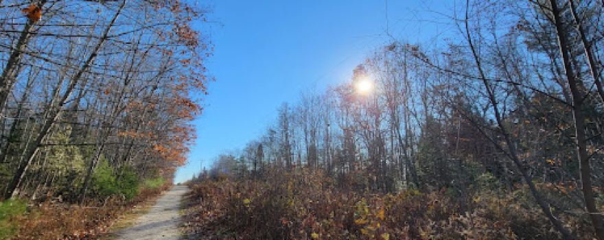 Miles Lane Walking Trails