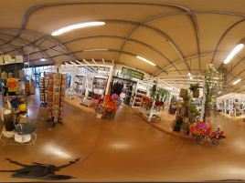 Viveverde: gardening, decorating and pets