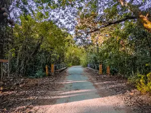 Floresta Nacional Mário Xavier
