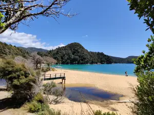 Golden Bay / Mohua