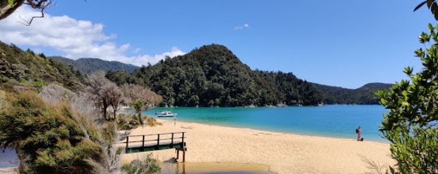 Golden Bay / Mohua