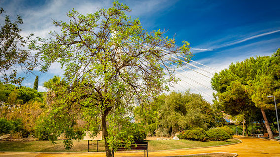 Parque de la Represa