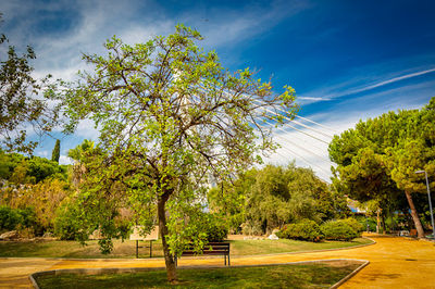Parque de la Represa