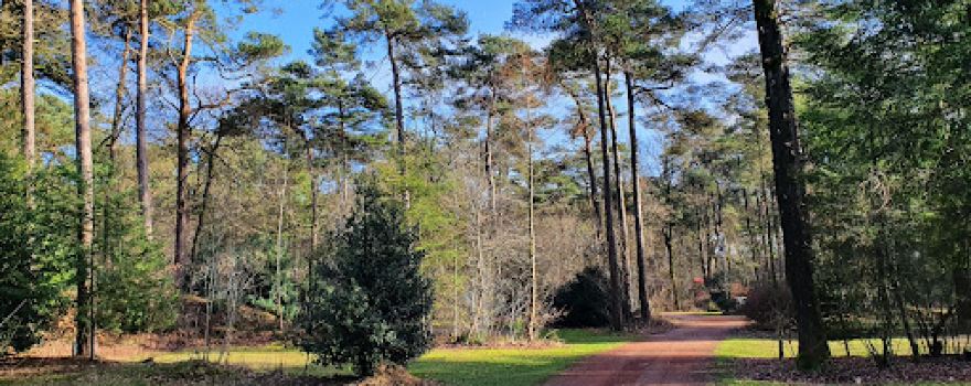 Camping Diever