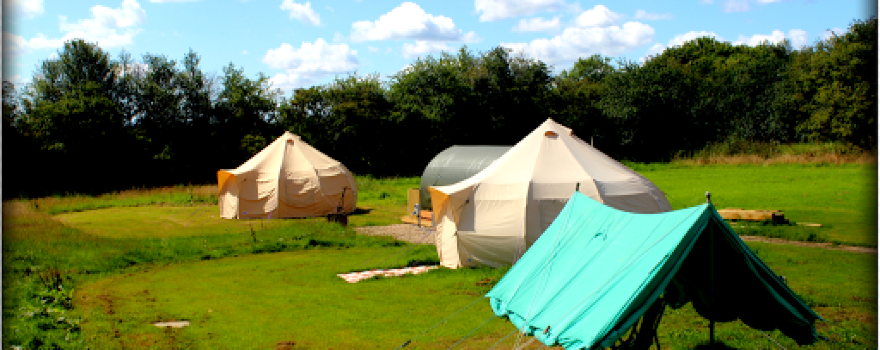 Smith Hall Meadow Glamping