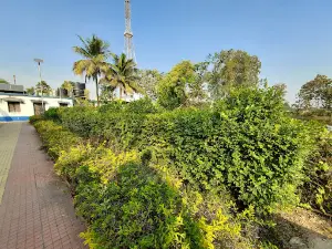 Children Park (Aranyak).
