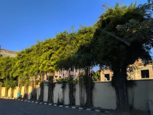 Masjid Agung Ar-Rahman