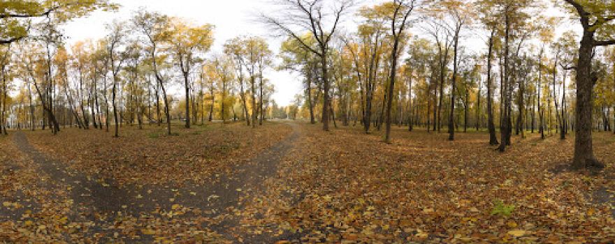 Vzroslyy Park