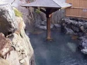 Kyōto Katsura-Onsen Nizaemon no Yu