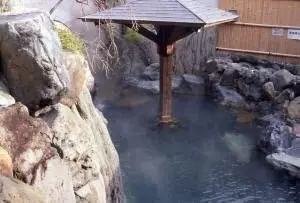 Hot Springs in Kyoto