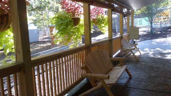 Branson's Promised Land Zoo