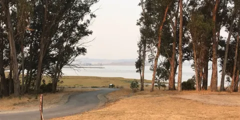 匹諾角地區海岸