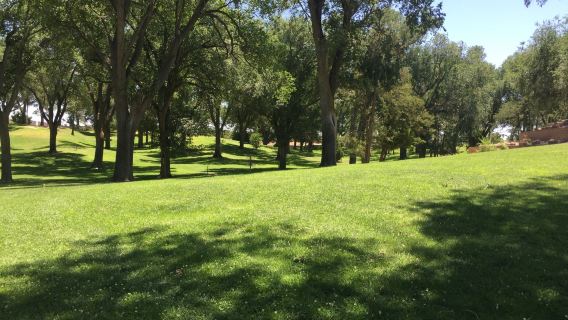Roosevelt Park